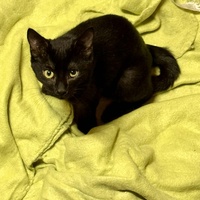 photo de livraison pour L'Arche de Ploum