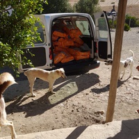 photo de livraison pour Sanctuaire de la Faune de Tanger (SFT)