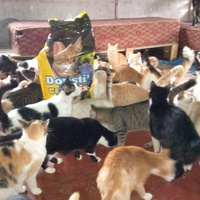 photo de livraison pour Hajar Aourz