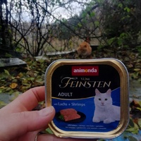 photo de livraison pour Ulyan