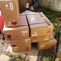 photo de livraison pour L'Arche de Marie - Mes Amours de Chats