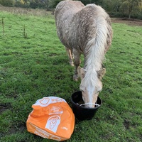 photo de livraison pour Espoir au Galop