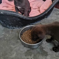 photo de livraison pour Huellas del Valle con Esperanza