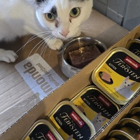 photo de livraison pour Amis de Myrtille