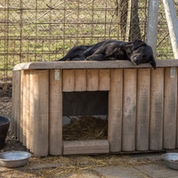 photo de livraison pour Azil Bella