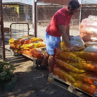 photo de livraison pour Nobody's Dog France