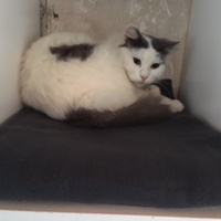 photo de livraison pour Adopt un Poilu
