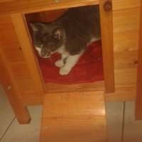 photo de livraison pour Ecole du Chat d’Arbois
