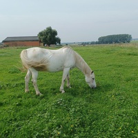 photo de livraison pour Tabula Rasa