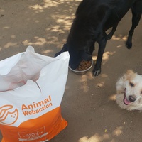 photo de livraison pour Friends for second hand paws vzw
