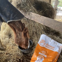 photo de livraison pour Espoir au Galop