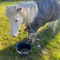 photo de livraison pour Les Crins de la Lande