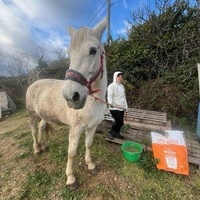 photo de livraison pour La Retraite des Chevaux des Causses
