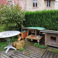 photo de livraison pour Les Chats'nonymes