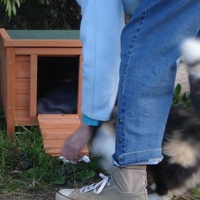 photo de livraison pour Bien vivre avec les Chats Sallélois