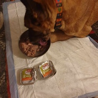 photo de livraison pour AVRAH