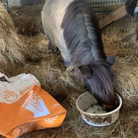 photo de livraison pour Espoir au Galop