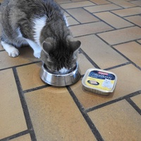 photo de livraison pour Ecole du Chat Libre de Caillerot