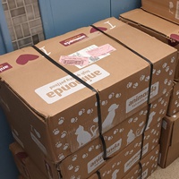 photo de livraison pour L'école du Chat d'Ollioules