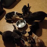 photo de livraison pour Hope14