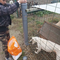 photo de livraison pour Innocente