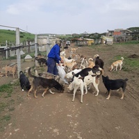 photo de livraison pour Sanctuaire de la Faune de Tanger (SFT)