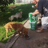 photo de livraison pour ПРИХВАТИЛИШТЕ ДРАЖЕВАЦ