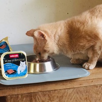 photo de livraison pour Vallée des Chats