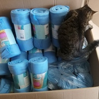photo de livraison pour Chats du Pays d'Ornans