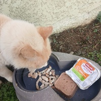 photo de livraison pour SOS COUSSINETS AUDOIS