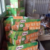 photo de livraison pour Les chats Port-Saint-Louisiens