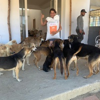 photo de livraison pour Sanctuaire de la Faune de Tanger (SFT)