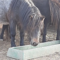photo de livraison pour Tabula Rasa