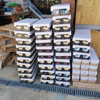 photo de livraison pour L'Arche de Ploum