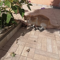 photo de livraison pour Hajar Aourz