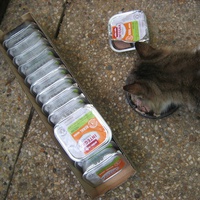 photo de livraison pour Au Bonheur des Chats Libres