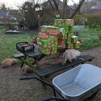 photo de livraison pour Ecole du Chat d’Arbois