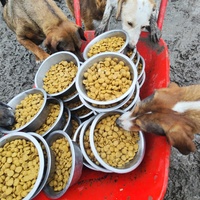 photo de livraison pour Svetlana Bjelogrlic