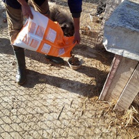 photo de livraison pour Depend on Us - Asociatia Depind de Noi