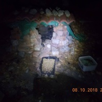 photo de livraison pour Pro Animals Finland ry