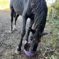 photo de livraison pour Association Equi’souffle