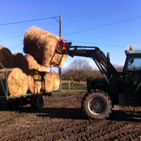 photo de livraison pour Cheval Espoir 33