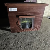 photo de livraison pour Les Babychoux