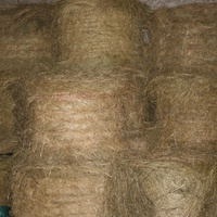 photo de livraison pour Cheval Espoir 33