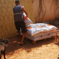 photo de livraison pour Help Adopt Moroccan Animals