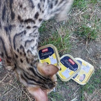 photo de livraison pour Les Poilus du 33