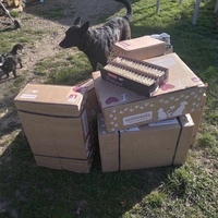 photo de livraison pour L'Esperanza