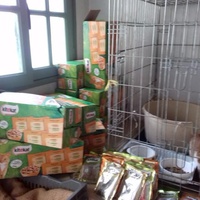 photo de livraison pour Les chats Port-Saint-Louisiens