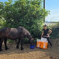 photo de livraison pour La Retraite des Chevaux des Causses