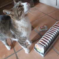 photo de livraison pour Felis Canis Association